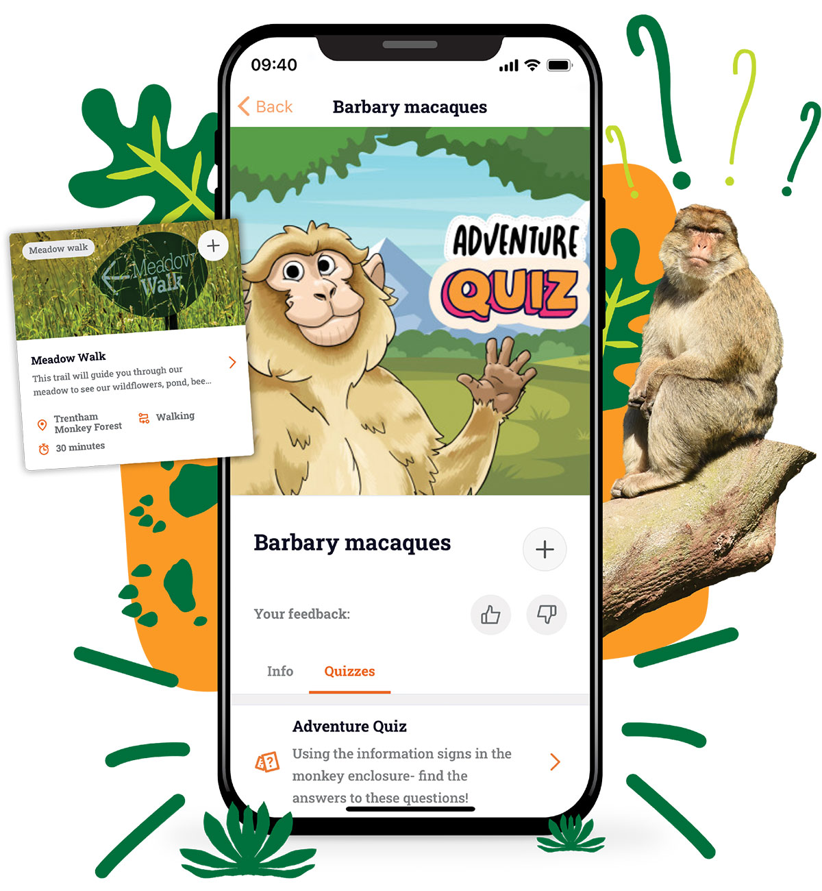 Monkey Forest app, Quizzes & Trails Quizzes & Trails