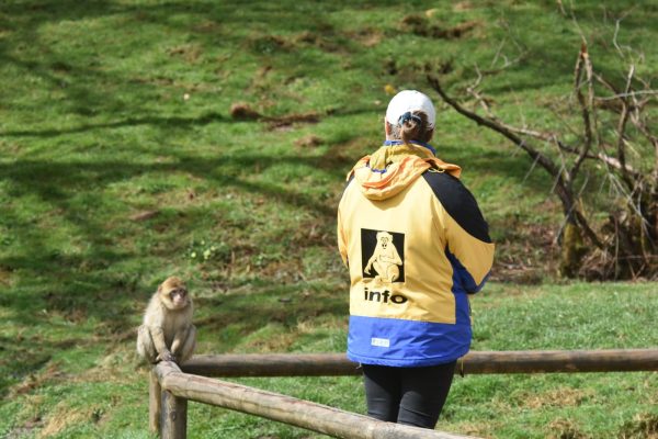 DSC_3055 DSC_3055