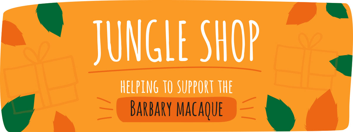 Jungle Shop Jungle Shop
