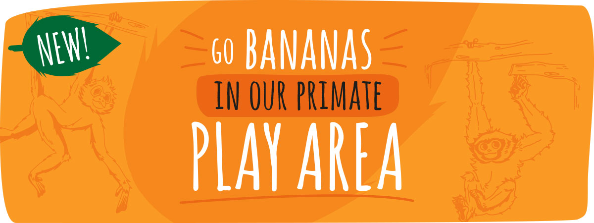 play-area-banner play-area-banner