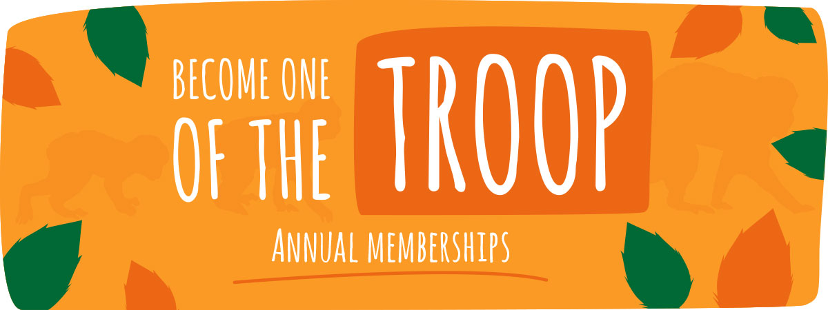 troop-membership-banner Become a Member
