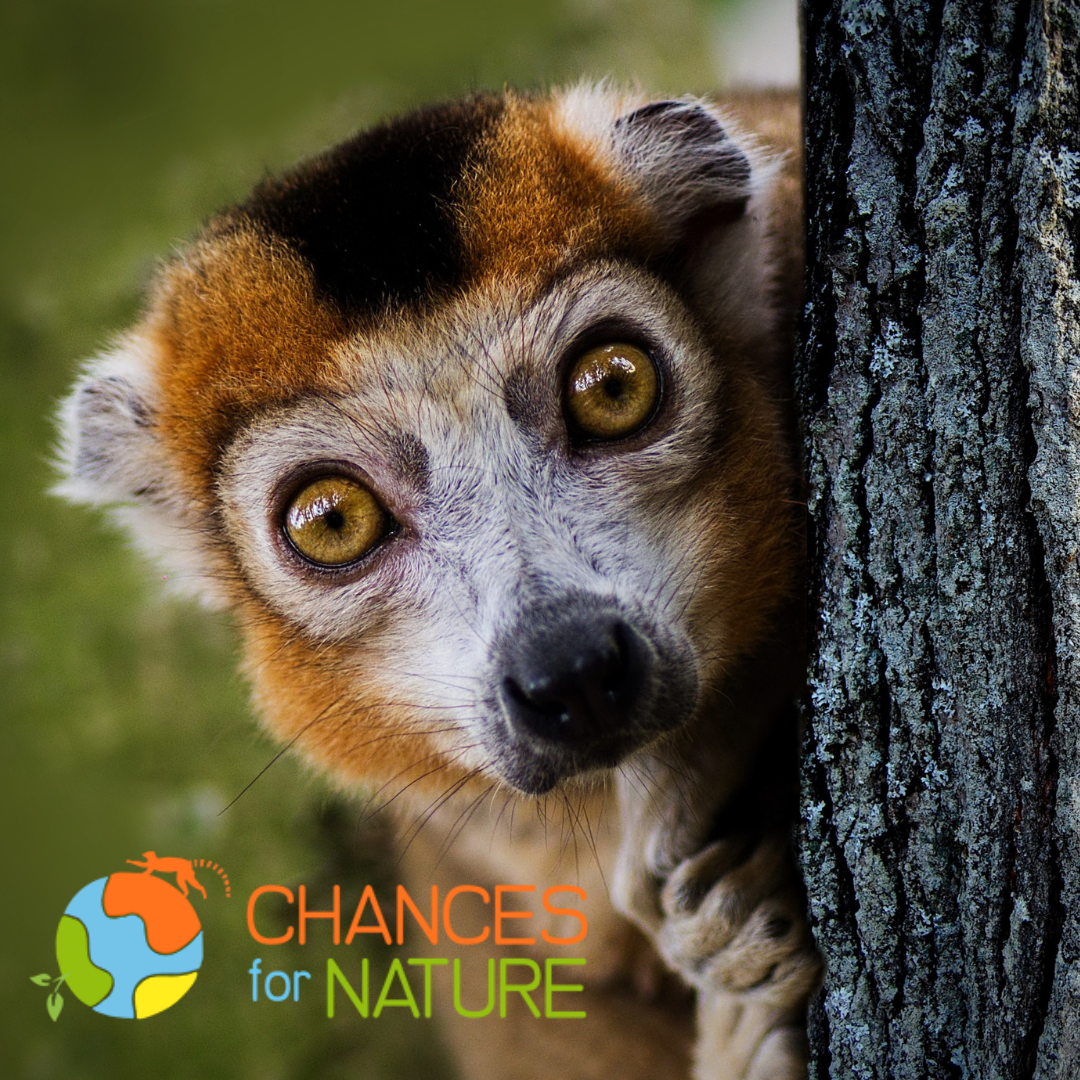 Chances For Nature Chances For Nature