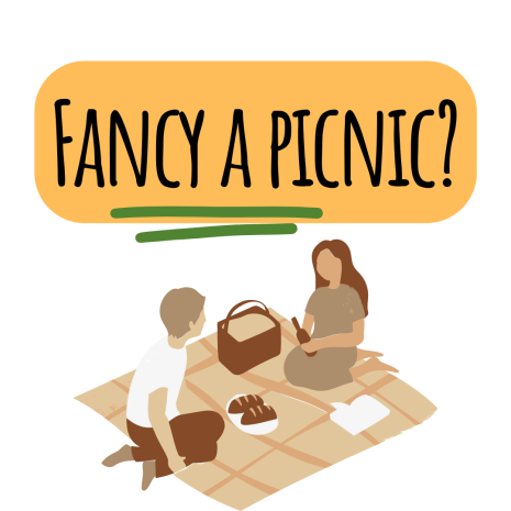 PICNIC (1) PICNIC (1)