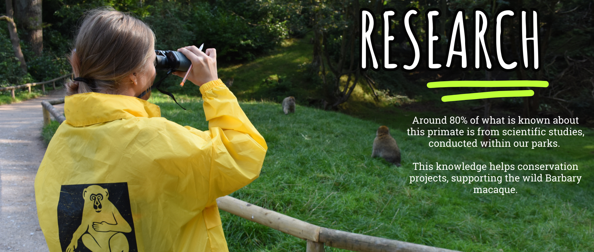 Researcher banner