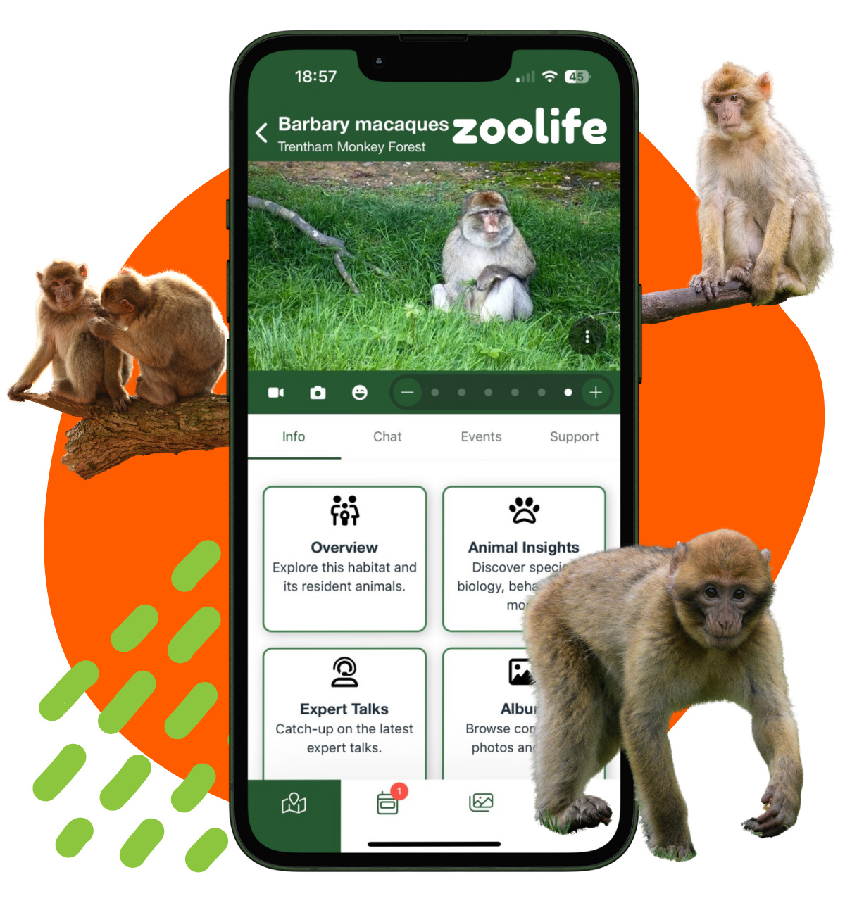 Zoolife camera (1)