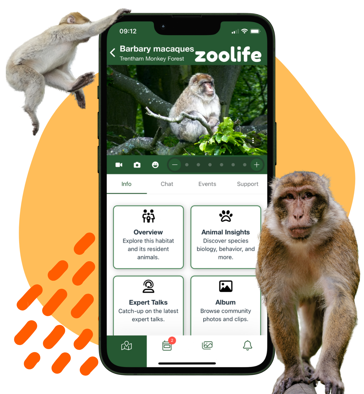 Zoolife camera (2)
